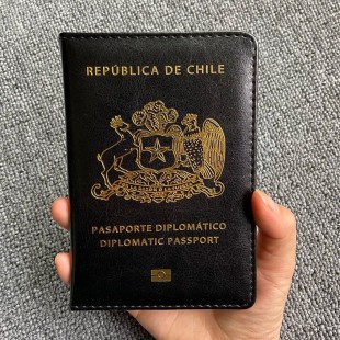 Porta Pasaporte Escudo De Chile Documentos Viajes Funda